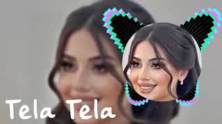 Tela Tela Remix 2024  Emotional Depth by Karim Zain  Original Track by Amina Rahman [upl. by Anaehr626]