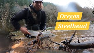 My Best Steelhead this Season Fly Fishing for PNW Ghosts  Steelhead Grind 2024  EP 9 [upl. by Euqinommod]