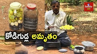 Kodigudla Amrutham Egg Amino Acid Preparation  Natural Farming  hmtv Agri [upl. by Mcfadden]