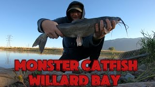 Night fishing Monster Catfish  Willard Bay [upl. by Sonia]