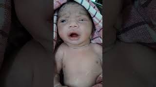 Vernix baby just after birth cute movementscute baby shorts shortvideo viralshorts [upl. by Harad298]