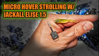 Fishing Jackall Elise 15 Micro Hover Strolling JDM Lure for Trout [upl. by Lunneta]