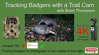 Tracking Badgers with a T85 trail cam to photograph with a camera trap [upl. by Ecyle]