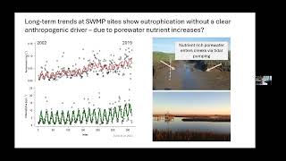 Evaluating spatial patterns in salt marsh biogeochemistry [upl. by Rafferty]