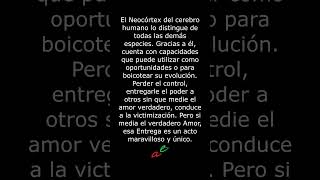 13 Perder el Control [upl. by Nannek402]