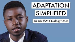 JAMB Biology CBT Tutorial 2024 Questions On Adaptation Top 20 [upl. by Chaing745]