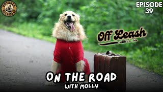 On the Road with Molly [upl. by Maison]