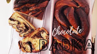 Chocolate Babka Bread Recipe [upl. by Atiuqin]