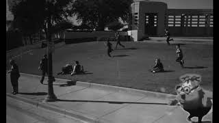 Grassy Knoll 1963 [upl. by Eicul643]