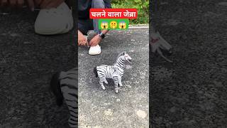 🙃Chalne wala Zebra shorts short youtubeshorts shortsfeed youtubeindia [upl. by Wren]