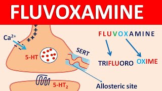 Fluvoxamine  Mechanism side effects precautions amp uses [upl. by Eisyak]