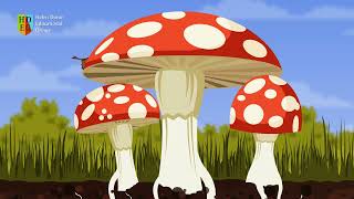 Must be Decomposers  Science Songs for Kids Learning English  Helen Doron Song Club [upl. by Yetsirhc]