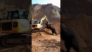 Excavator operator never forget this Day youtubeshorts shorts shortvideos excavator bear [upl. by Baron246]