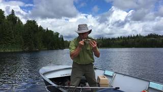 Fishing on Crowduck Lake July 1st 2017 [upl. by Kerin874]