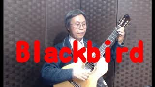 Blackbird John Lennon and Paul Mccartney ブラックバード Tadashi Ishida クラシックギター [upl. by Tarah606]