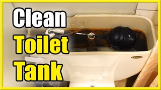 How to Clean Toilet Tank with Citric Acid Almost no Scrubbing [upl. by Lolanthe550]