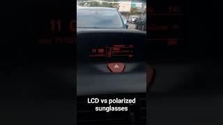 LCD vs polarized sunglasses [upl. by Alrep]