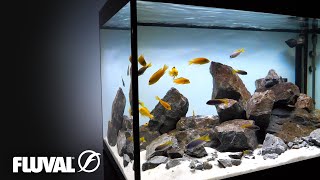 Lake Malawi Biotope Aquarium  Relaxing Cinematic [upl. by Tupler]