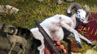 Red Dead Redemption 2 Hunting Legendary Big Horn Ram PS5 4K [upl. by Eneirda]