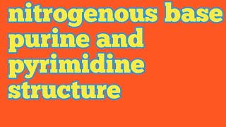 nitrogenous basepurine and pyrimidine structure  csir net life science  neet [upl. by Rento]