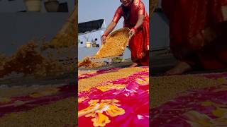 Chhathi mai 🧿😍 muktithrower chhathpuja chhathimaiya chhathpooja2024 whatsappstatus viralvideo [upl. by Okire557]