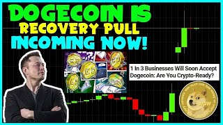 CRUCIAL NEWS FOR ALL DOGECOIN INVESTORS FAST Whales Activity Elon Musk SPACEX Cybertruck [upl. by Nirre]