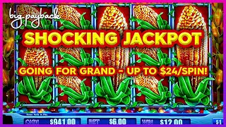 Up to 30Spin → JACKPOT SHOCKER Cash Crop Slots GRAND JACKPOT QUEST [upl. by Ynnig]