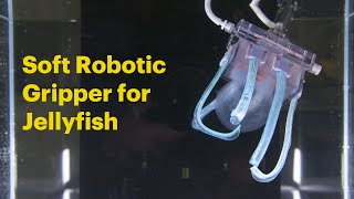 Soft Robotic Gripper for Jellyfish [upl. by Tohcnarf]