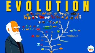 Darwins theory of Evolution A REALLY SIMPLE and Brief Explanation [upl. by Rosner]