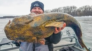 Unexpected FISH SNAGGED while Walleye Fishing [upl. by Blynn323]