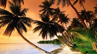 Beautiful Tropical Music amp Caribbean Music amp Hawaiian Music  Island Paradise 🌴 [upl. by Lhadnek]