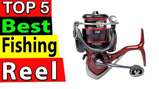 Best Fishing Reel In 2024 TOP 5 [upl. by Lessur]