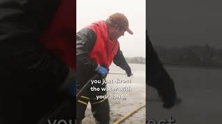 How fisherman find the world’s biggest clams geoduck [upl. by Coffeng]