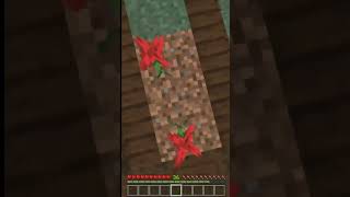 Alex died😭 shorts minecraft minecraftshorts [upl. by Esmond441]