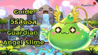 Maplestory Guide วิธีสู้บอส Guardian Angel Slime  Divine King Slime [upl. by Mudenihc907]