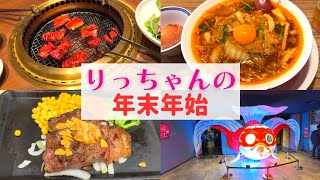 【年末年始】りっちゃんの年末年始【大阪・奈良】 [upl. by Bradly487]