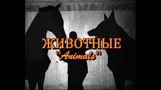 The Animals  Garrys mod shortfilm [upl. by Routh]