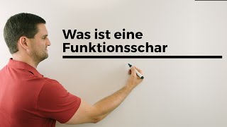 Was ist eine Funktionsschar Teil 3 Parameterfunktion Kurvenschar  Mathe by Daniel Jung [upl. by Josler]