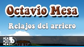 Relajos Del Arriero Octavio Mesa  Audio [upl. by Oidiple798]