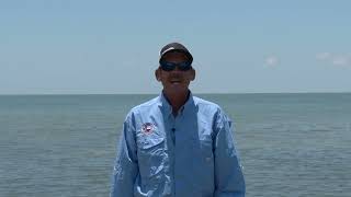 Texas Fishing Tips Fishing Report 8824 Port Aransas Area With Capt Monte Graham [upl. by Robina]