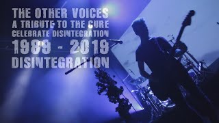 DISINTEGRATION The Cure Cover  The Other Voices  A Tribute To The Cure [upl. by Marena650]