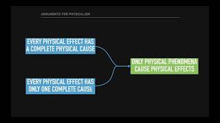 The Causation Argument for Physicalism [upl. by Lillian]