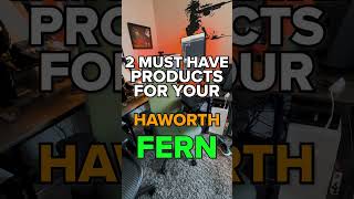 New Haworth Fern Two Must Have Accessories [upl. by Tare]