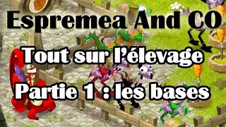 Dofus  Elevage de dragodindes  partie 1 les bases [upl. by Asum667]