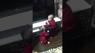 My Adorable Twins are playing together shorts youtube cuteplaying [upl. by Atinot]