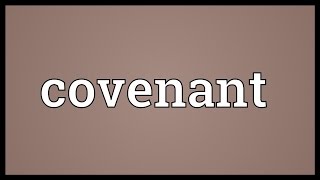 Covenant Meaning [upl. by Irol353]