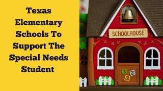 Texas Elementary Schools To Support The Special Needs Student  A Panel Webinar [upl. by Gayel378]