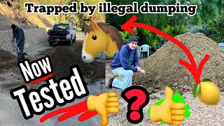 😳❌ Gardeners Surprise YOU Won’t BelieveTESTED Illegal Street Dumping MANURE Will it Stay in Garden [upl. by Alarick]