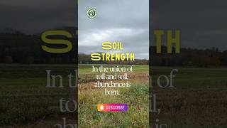 Soil Strength Where Hard Work Meets Natures Magic ytshorts shorts travel viralvideo farming [upl. by Anaizit107]