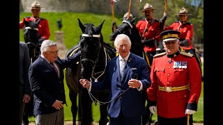 King Charles Gifted Horse as Head of Royal Canadian Mounted Police [upl. by Jardena]